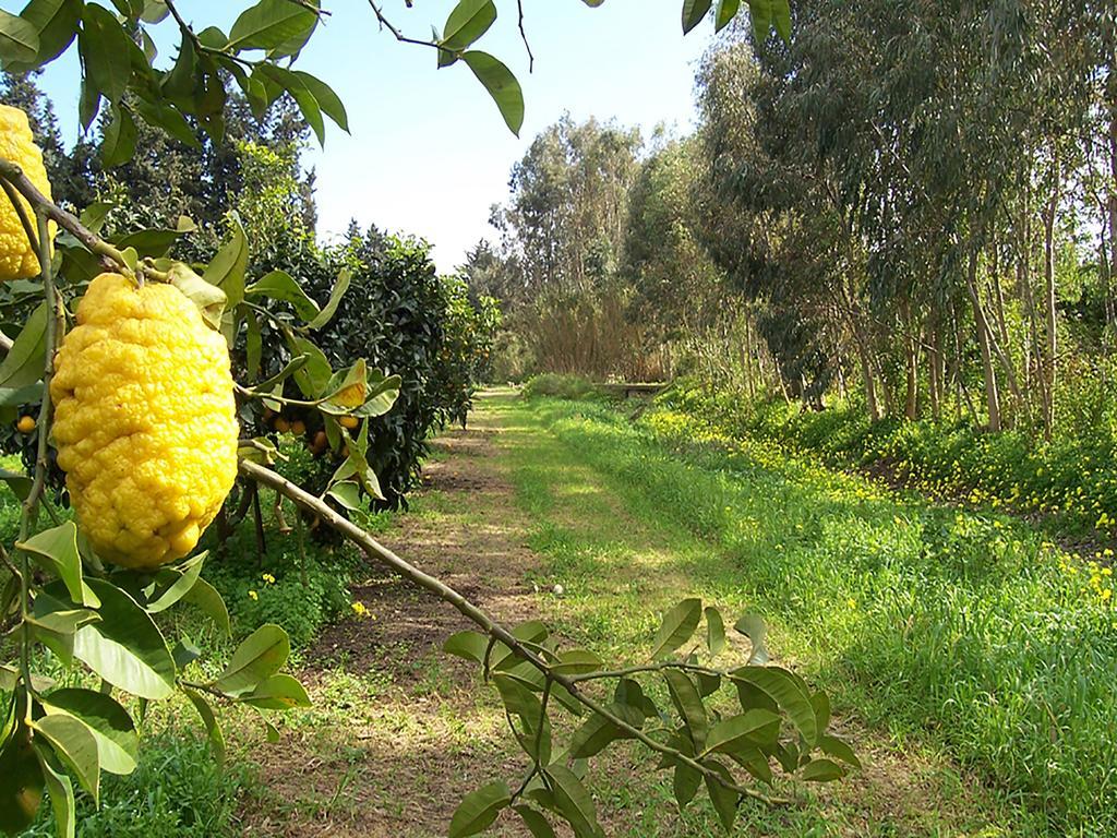 Luna&Limoni Country Muravera Esterno foto